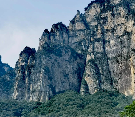 青岛试管代生机构靠谱吗？代怀包成功公司介绍